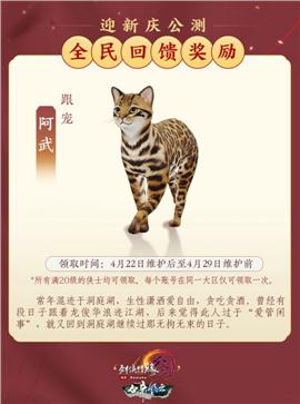 天龙八部私服看端口
